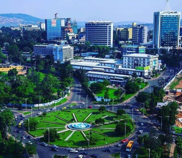 City Sightseeing Tour with Lunch