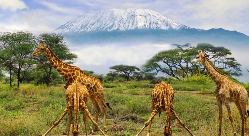 2 days Tarangire National Park and Ngorongoro Crater Safari