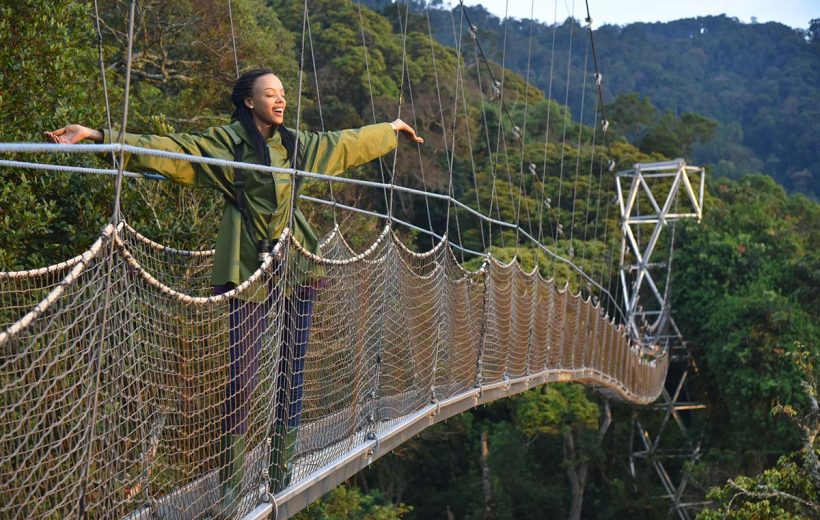 4 days Nyungwe forest national park and Lake Kivu safari