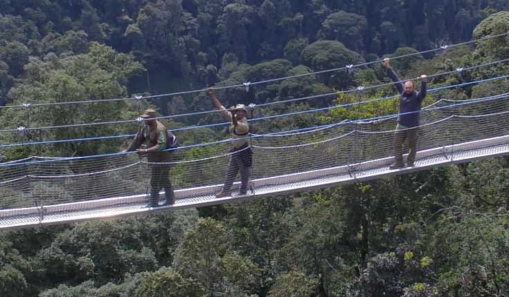 2 Days Nyungwe Chimpanzee and Canopy Walk Safari in Rwanda